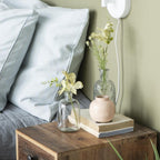 Ib Laursen Pharmacy Clear Glass Bottle Vase (Medium)