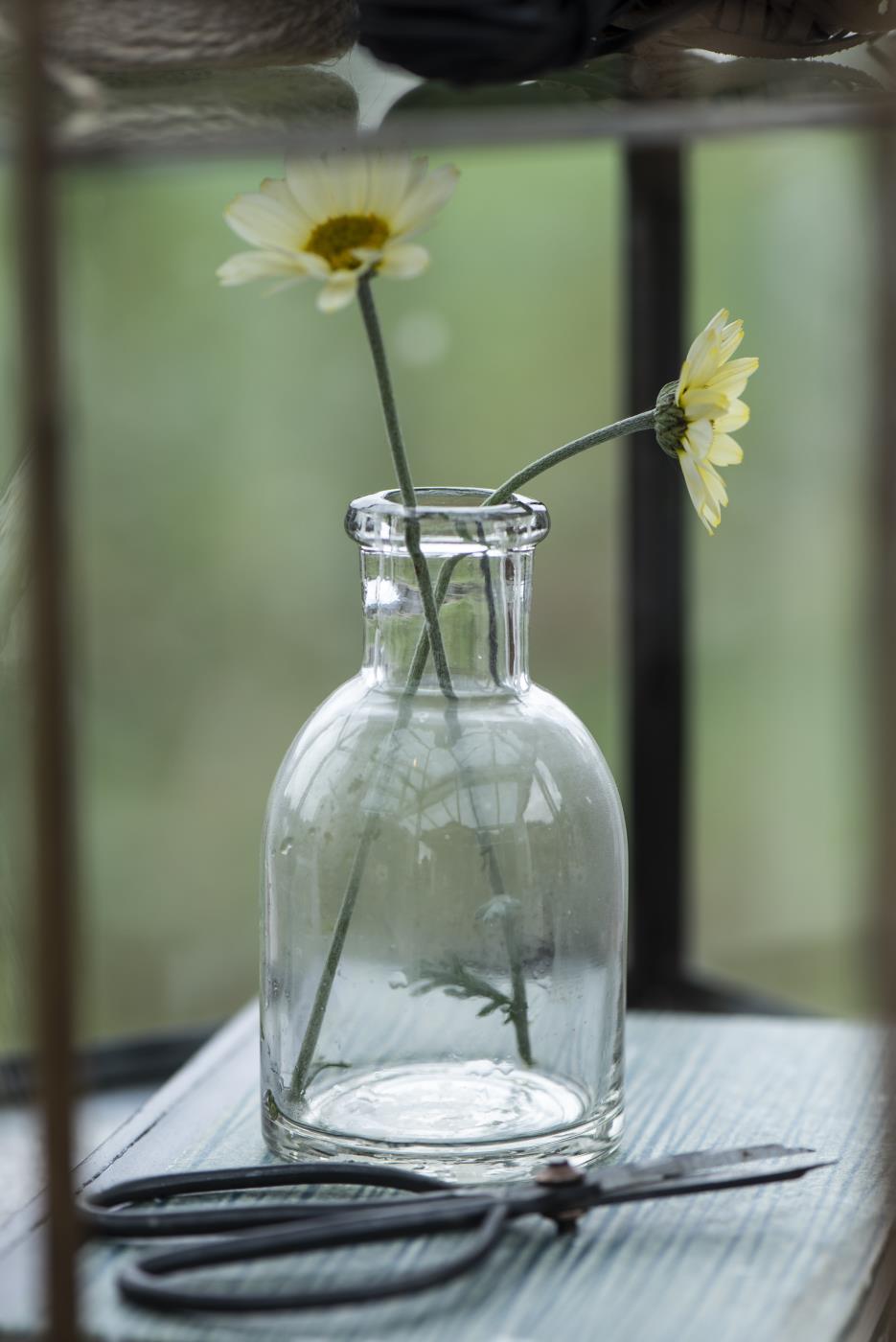 Ib Laursen Pharmacy Clear Glass Bottle Vase (Small)