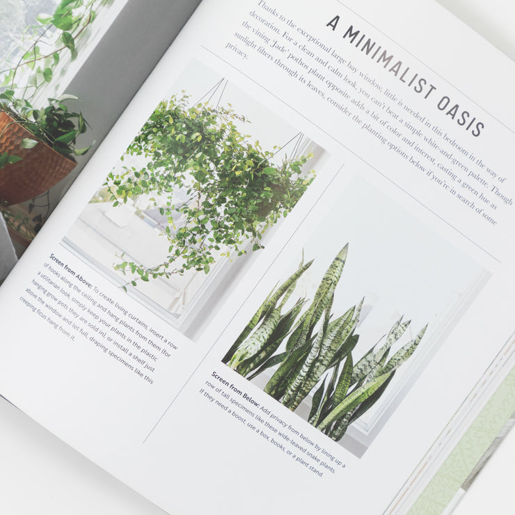 Decorating With Plants