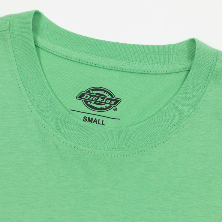 DICKIES Mapleton Short Sleeve T-Shirt in APPLEMINT