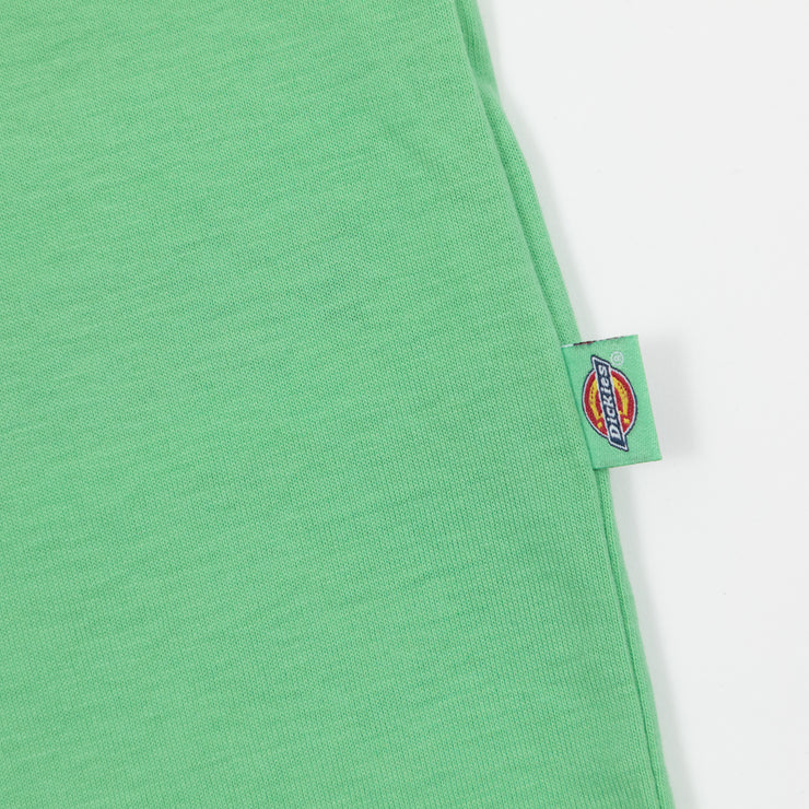 DICKIES Mapleton Short Sleeve T-Shirt in APPLEMINT