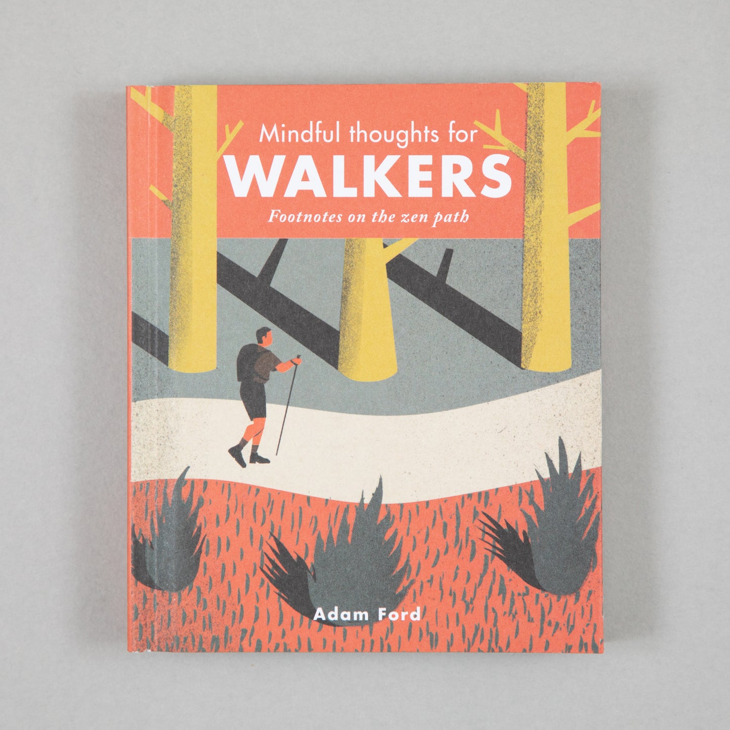 Mindful Thoughts Book For Walkers