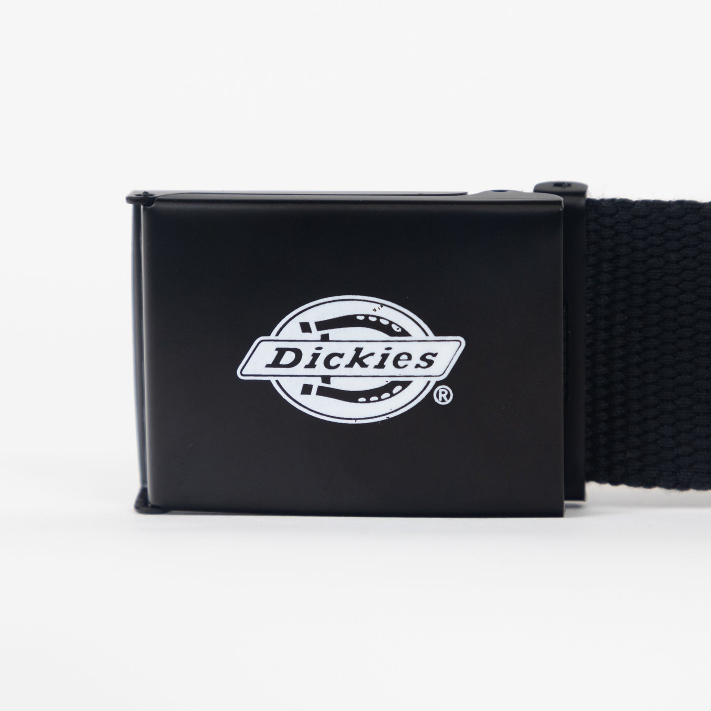 DICKIES Orcutt Webbing Logo Buckle Belt in BLACK